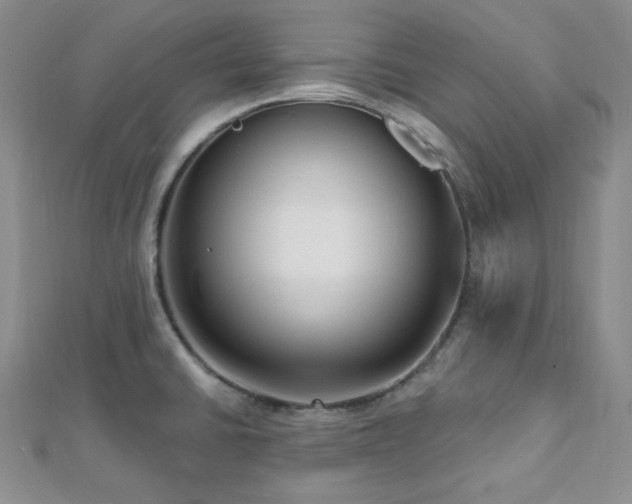 X0000112721430200908201239