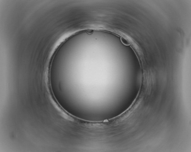 X0000112721432200908201239
