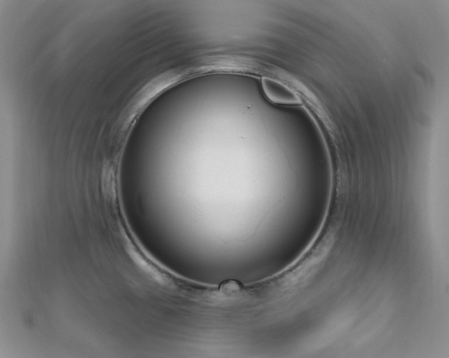 X0000112721433200908201239