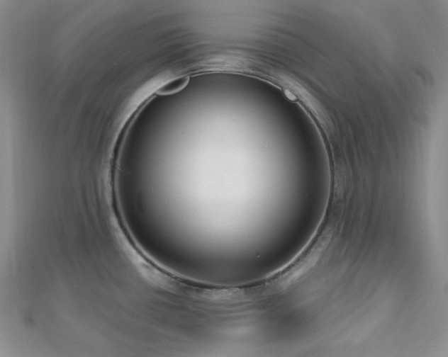 X0000112721434200908201239