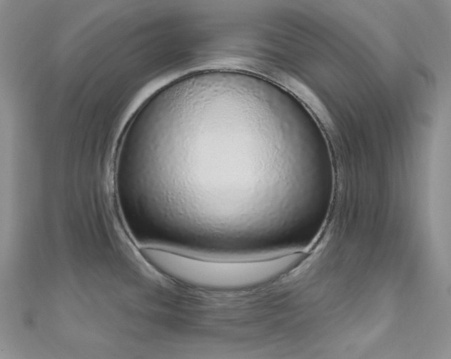 X0000112721436200908201239