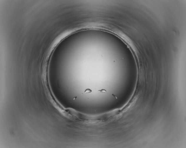 X0000112721437200908201239