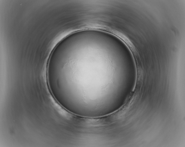X0000112721439200908201239