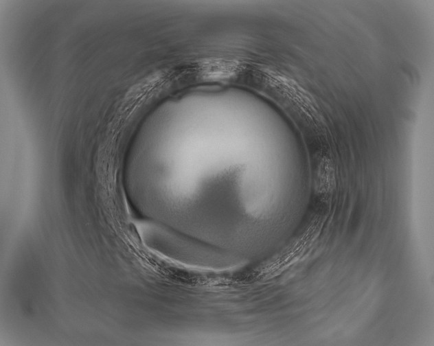 X0000112721441200908201238