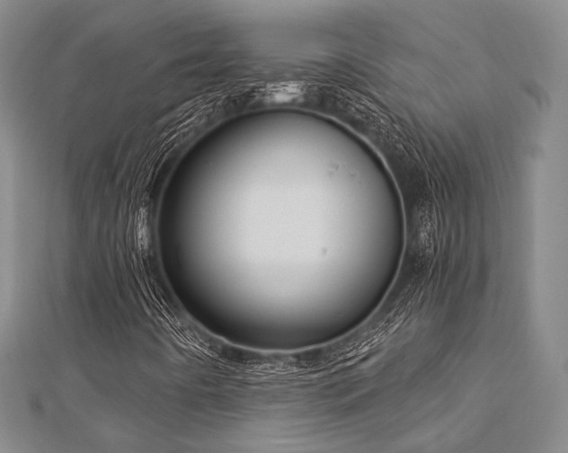 X0000112721442200908201238