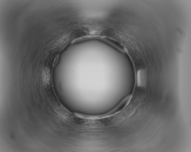 X0000112721443200908201238