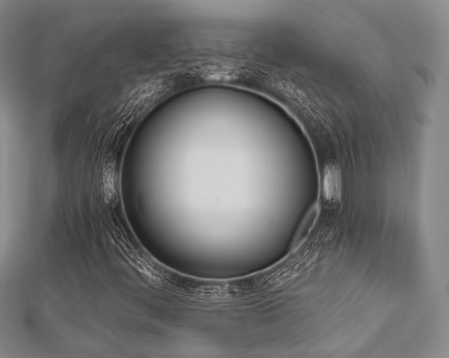 X0000112721444200908201238