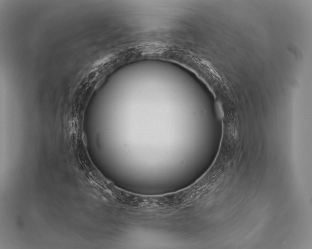 X0000112721445200908201238