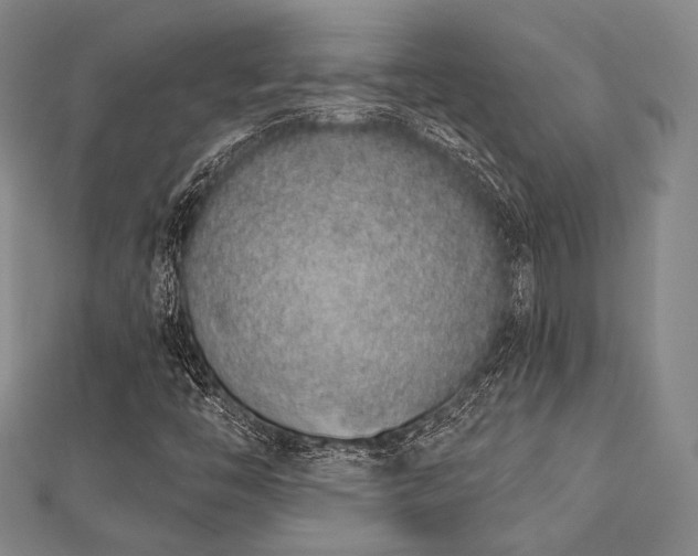 X0000112721446200908201238