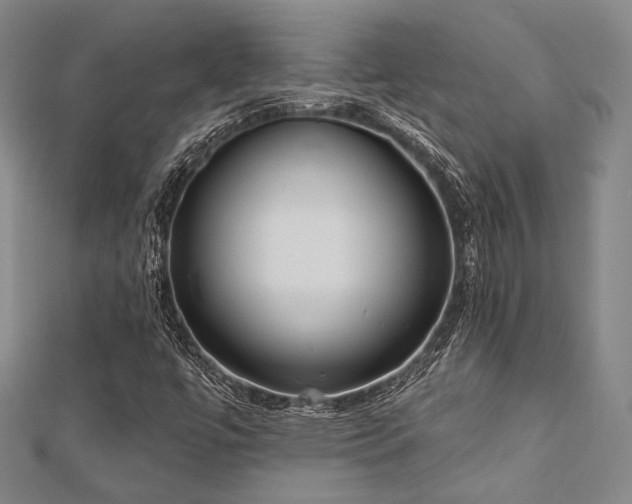 X0000112721447200908201238