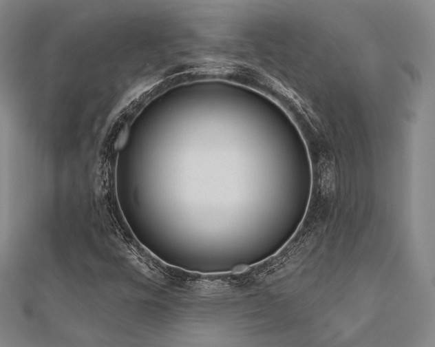 X0000112721448200908201238