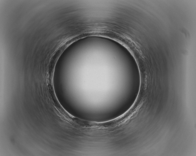 X0000112721449200908201238