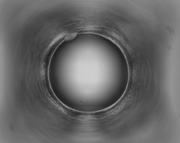 X0000112721450200908201238