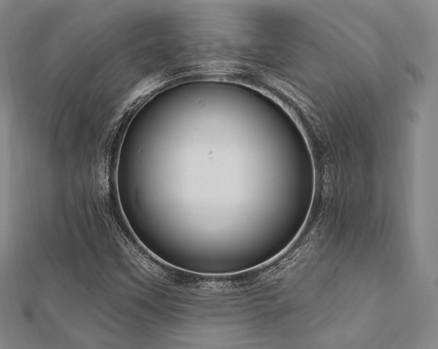 X0000112721451200908201238