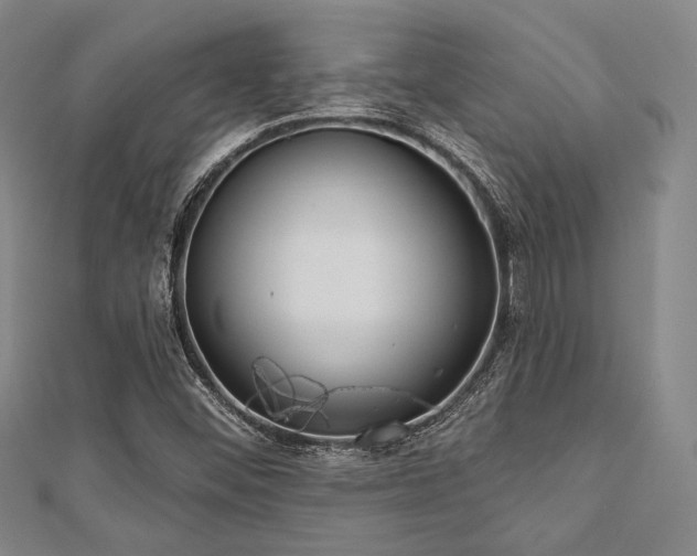 X0000112721452200908201238
