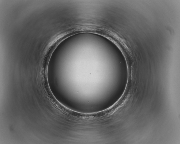 X0000112721453200908201238