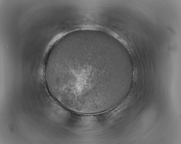 X0000112721454200908201238