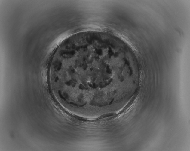 X0000112721455200908201238