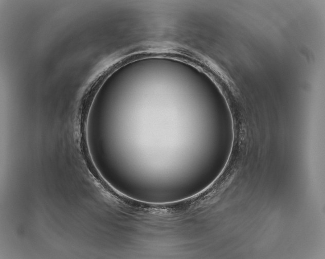X0000112721456200908201238