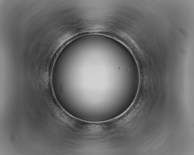 X0000112721457200908201238