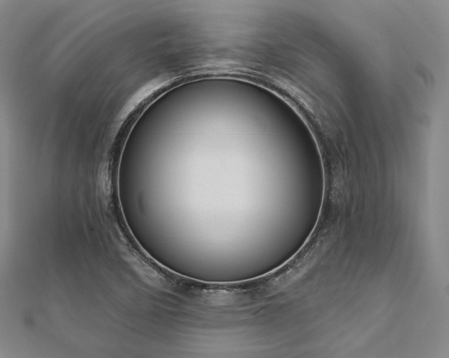 X0000112721458200908201238