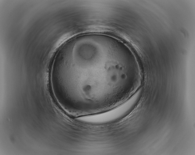 X0000112721459200908201238