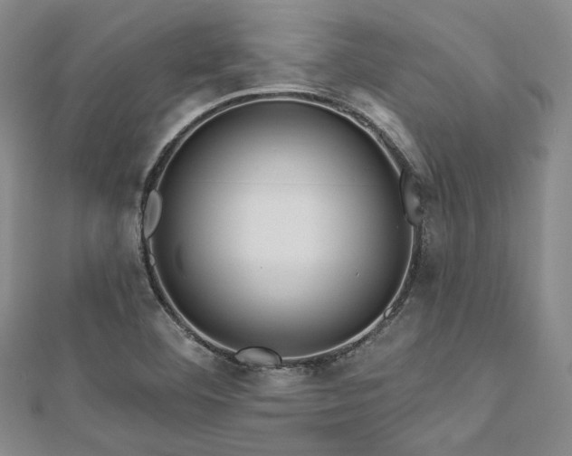 X0000112721460200908201238