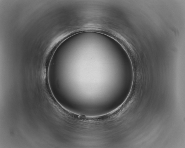 X0000112721461200908201238