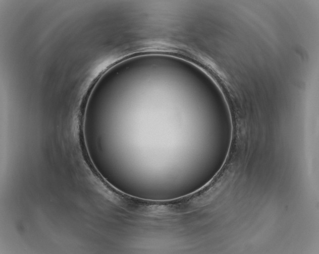 X0000112721463200908201238
