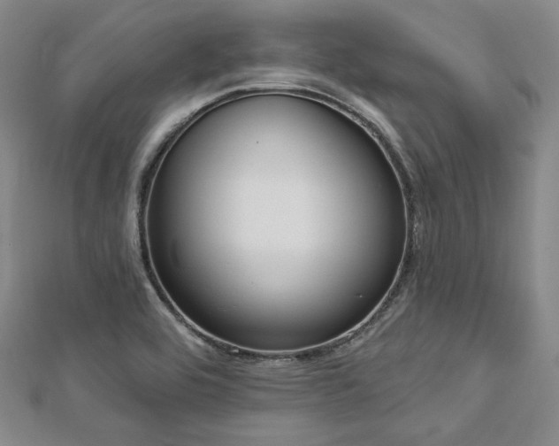 X0000112721464200908201238