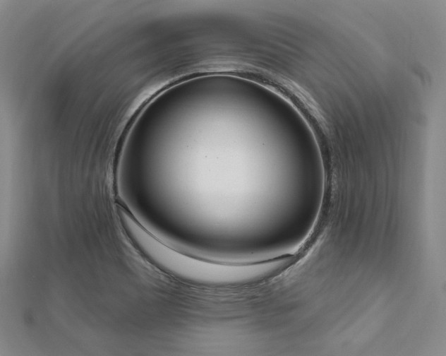 X0000112721465200908201238