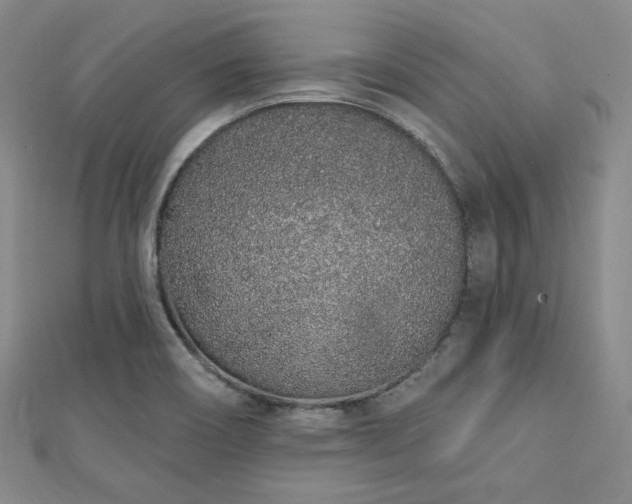 X0000112721466200908201238