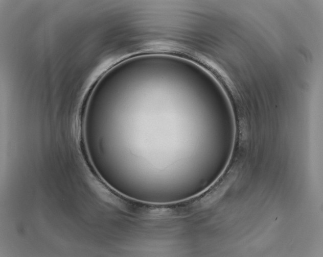 X0000112721467200908201238