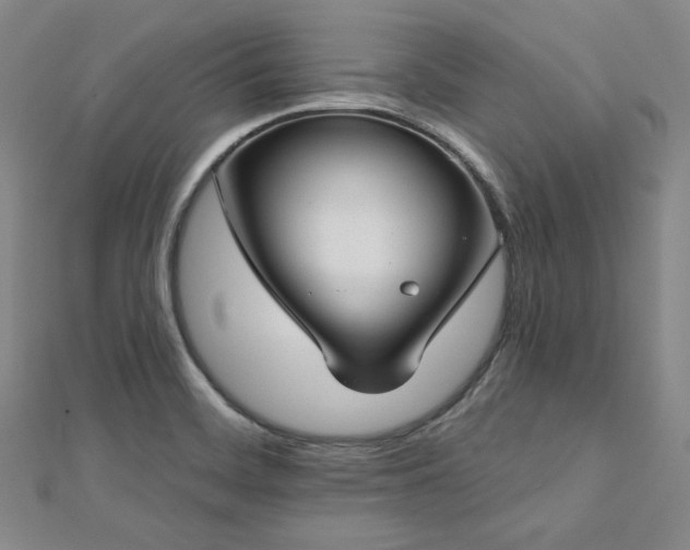 X0000112721468200908201238
