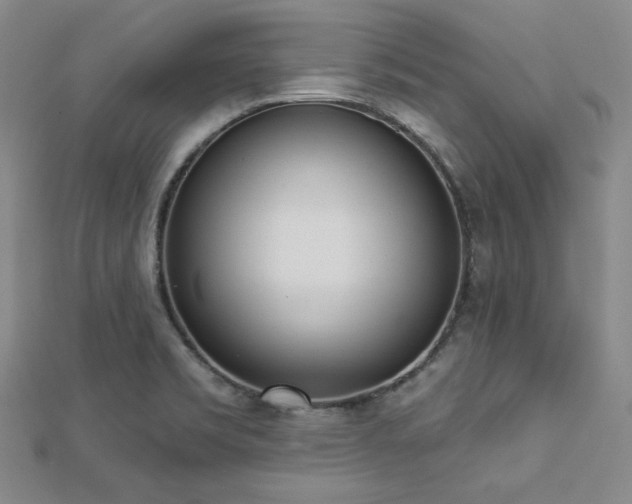 X0000112721469200908201238