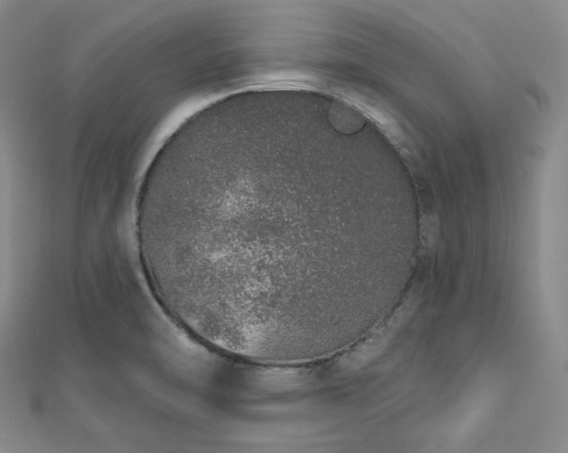 X0000112721470200908201238