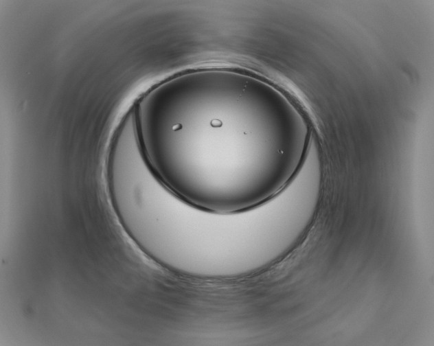 X0000112721472200908201238