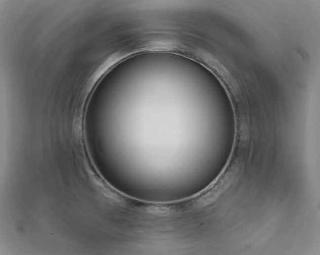 X0000112721473200908201238