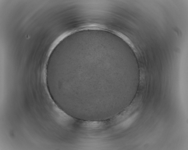 X0000112721474200908201238