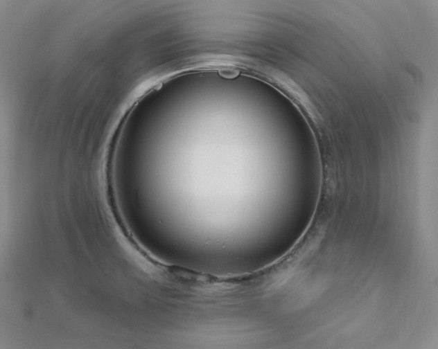X0000112721475200908201238