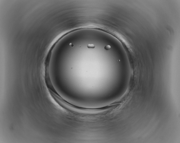 X0000112721476200908201238