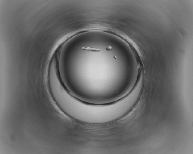 X0000112721477200908201238