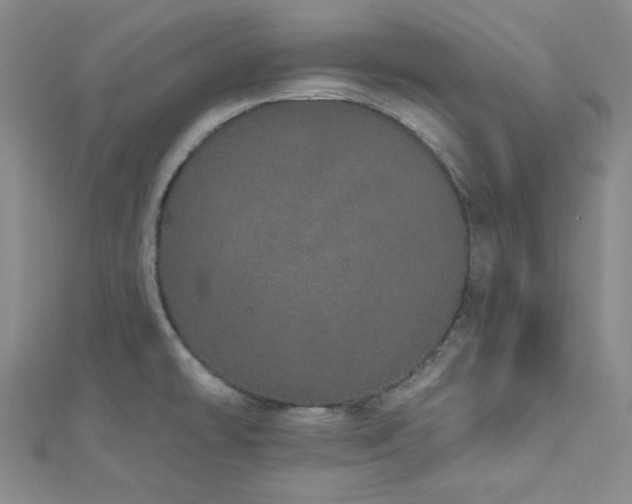 X0000112721478200908201238