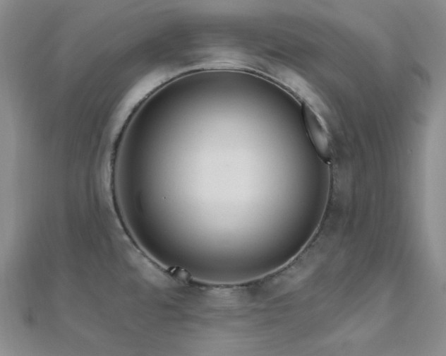 X0000112721480200908201238