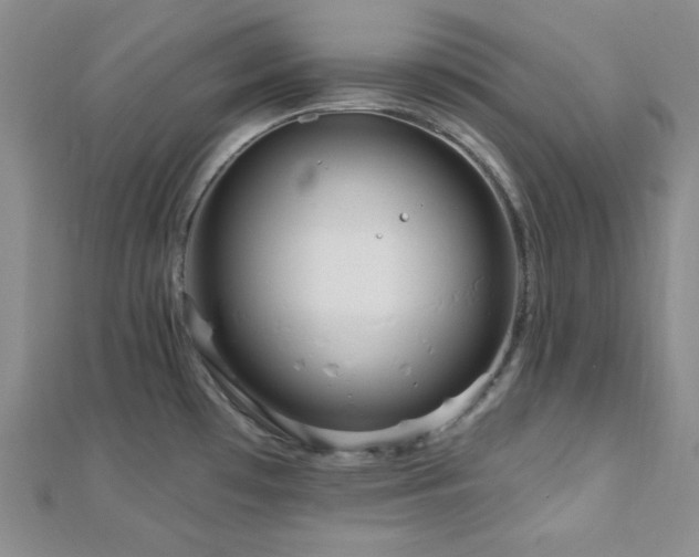 X0000112721481200908201238