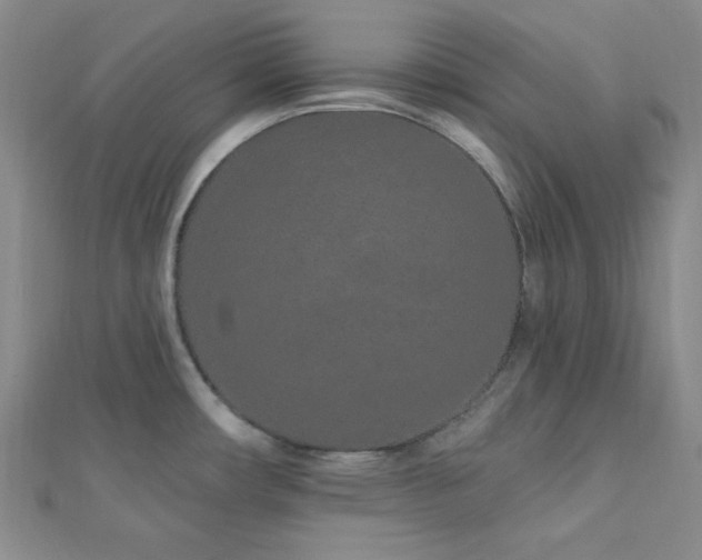 X0000112721482200908201238