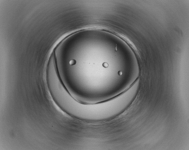 X0000112721484200908201238