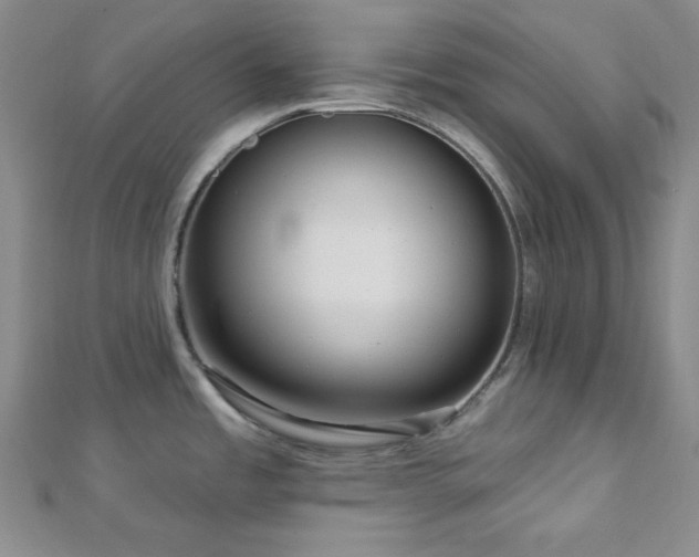 X0000112721485200908201238