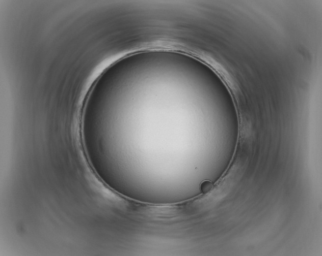 X0000112721486200908201238