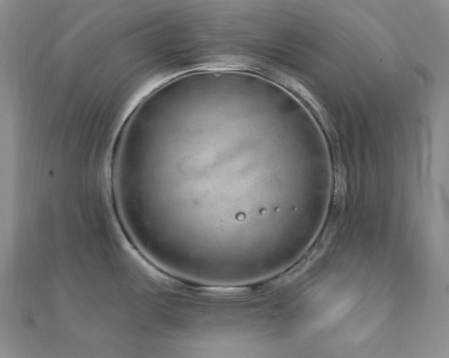 X0000112721487200908201237